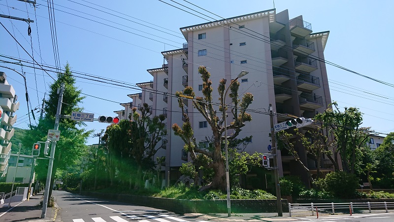 円丘