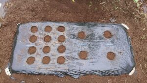 秋野菜の種まき開始！ なかなかこれが地道な作業で……