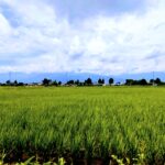 【販売終了】長野県安曇野市で北アルプスを望む4LDK高気密住宅