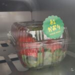 【東京都三鷹市】大地の恵みと暮らしやすさが魅力の建築プラン付き土地